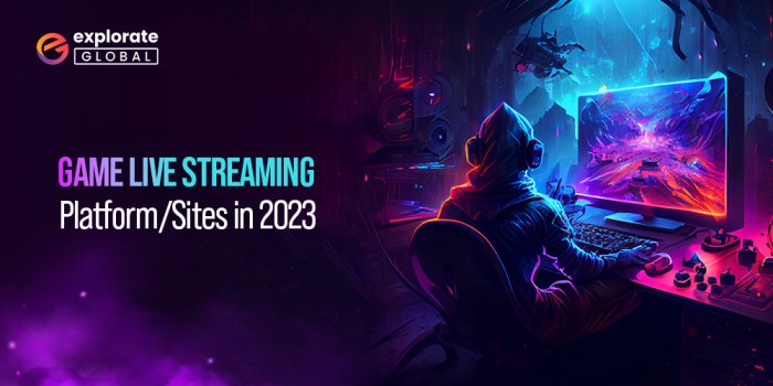 Video Game Streaming Platforms